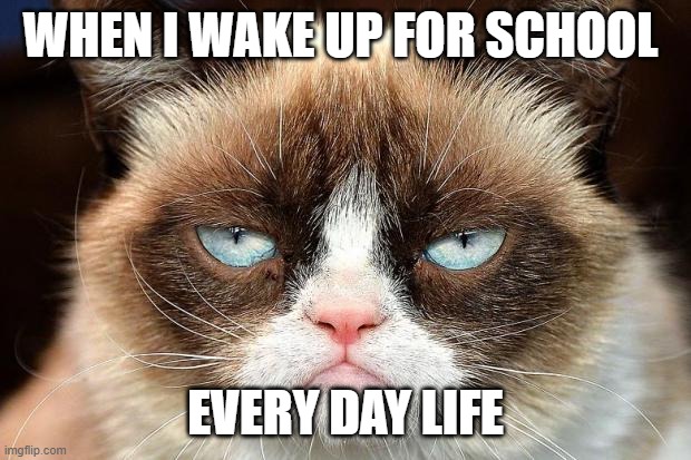 every day | WHEN I WAKE UP FOR SCHOOL; EVERY DAY LIFE | image tagged in memes,grumpy cat not amused,grumpy cat | made w/ Imgflip meme maker