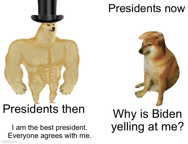 Presidents automatically got worse | Presidents now; Presidents then; Why is Biden yelling at me? I am the best president. Everyone agrees with me. | image tagged in memes,buff doge vs cheems | made w/ Imgflip meme maker