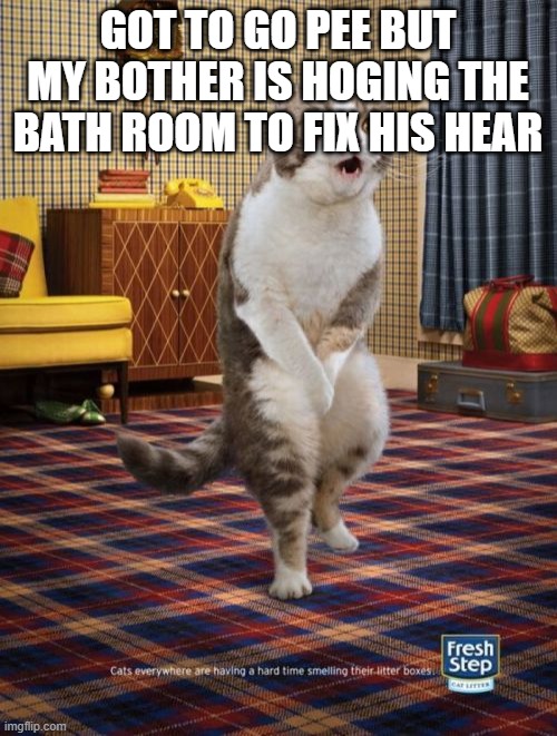 every day life | GOT TO GO PEE BUT MY BOTHER IS HOGING THE BATH ROOM TO FIX HIS HEAR | image tagged in memes,gotta go cat | made w/ Imgflip meme maker