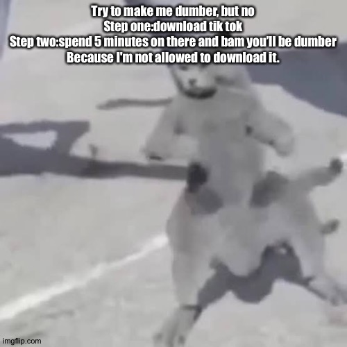 . | Try to make me dumber, but no
Step one:download tik tok
Step two:spend 5 minutes on there and bam you’ll be dumber
Because I'm not allowed to download it. | image tagged in cat nae nae | made w/ Imgflip meme maker