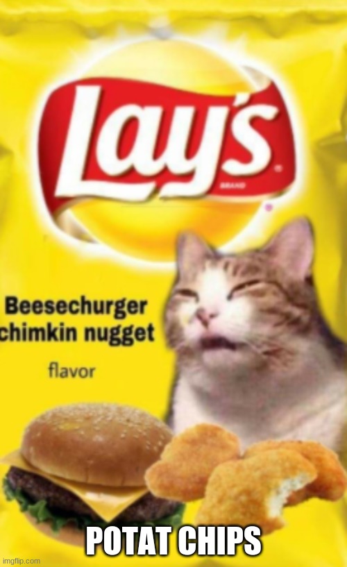 POTAT CHIPS | image tagged in beesechurger | made w/ Imgflip meme maker