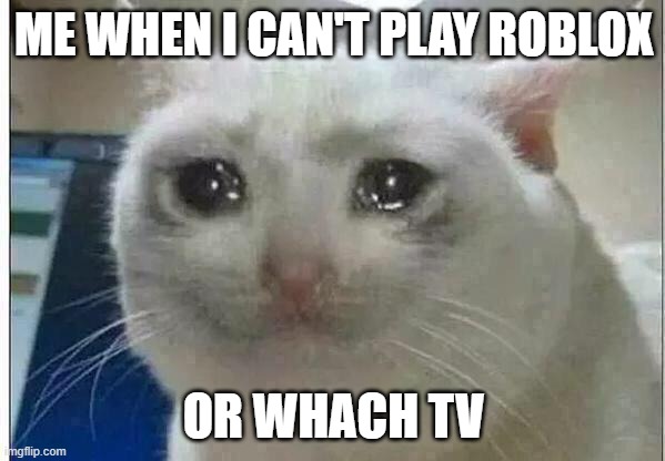me in real life | ME WHEN I CAN'T PLAY ROBLOX; OR WHACH TV | image tagged in crying cat | made w/ Imgflip meme maker