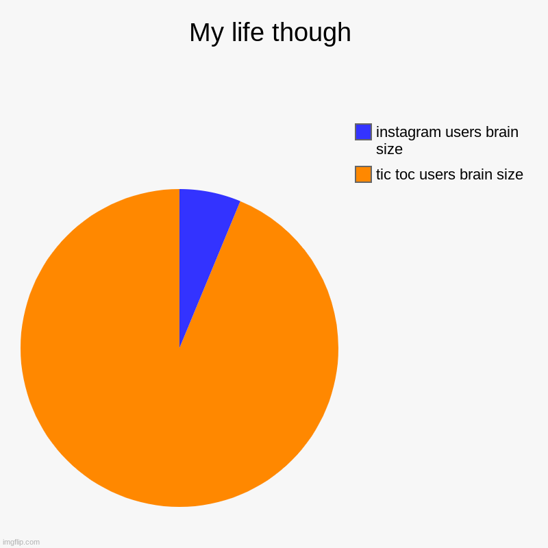 My life though | tic toc users brain size, instagram users brain size | image tagged in charts,pie charts | made w/ Imgflip chart maker