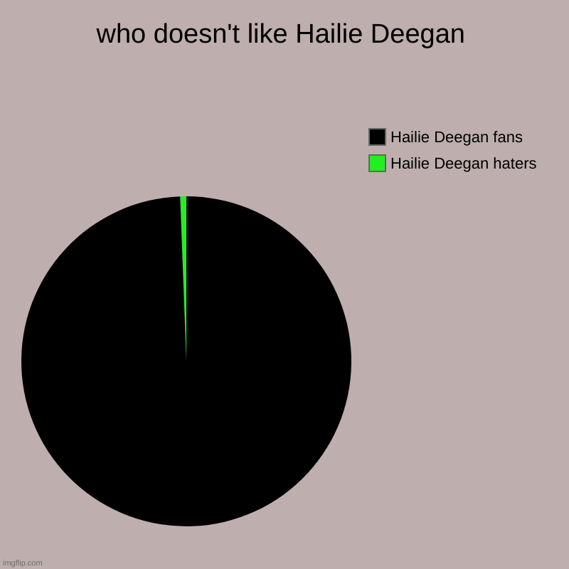 who doesn't like Hailie Deegan | who doesn't like Hailie Deegan | Hailie Deegan haters, Hailie Deegan fans | image tagged in charts,pie charts | made w/ Imgflip chart maker