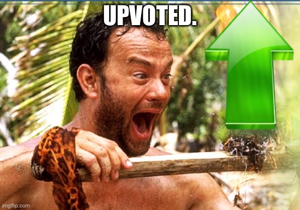 Castaway Fire Meme | UPVOTED. | image tagged in memes,castaway fire | made w/ Imgflip meme maker