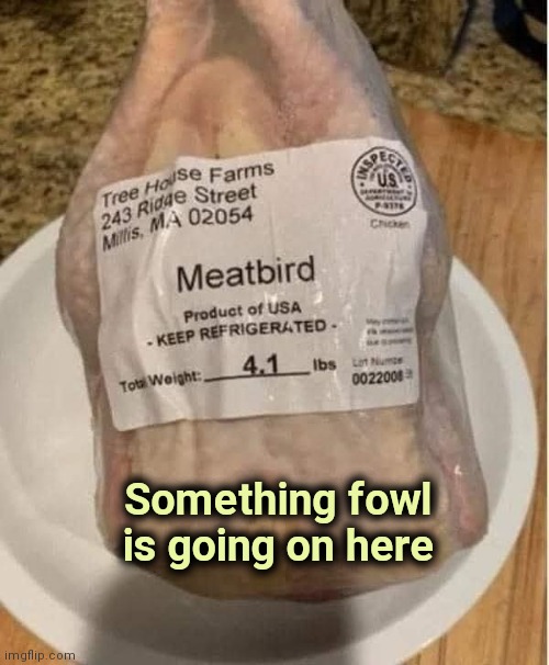 If you guessed "Mystery Meat" you win | Something fowl is going on here | image tagged in unsolved mysteries,you had one job,eat it,it's what's for dinner | made w/ Imgflip meme maker