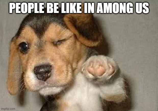 Winking Dog | PEOPLE BE LIKE IN AMONG US | image tagged in winking dog | made w/ Imgflip meme maker