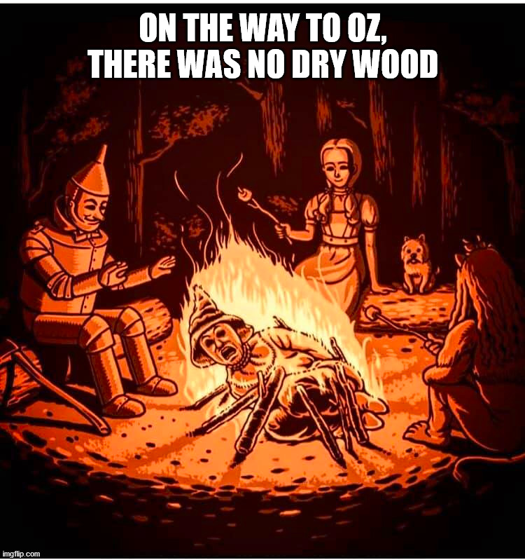 ON THE WAY TO OZ, THERE WAS NO DRY WOOD | made w/ Imgflip meme maker