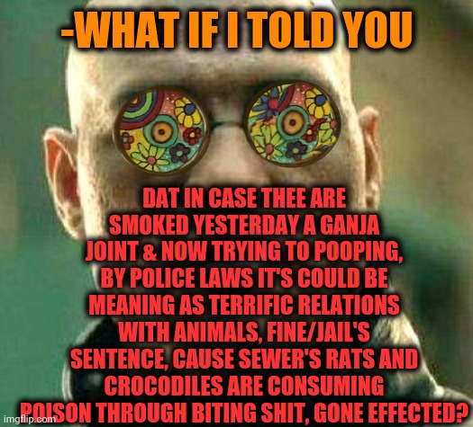-Be tactical on lower creatures. | DAT IN CASE THEE ARE SMOKED YESTERDAY A GANJA JOINT & NOW TRYING TO POOPING, BY POLICE LAWS IT'S COULD BE MEANING AS TERRIFIC RELATIONS WITH ANIMALS, FINE/JAIL'S SENTENCE, CAUSE SEWER'S RATS AND CROCODILES ARE CONSUMING POISON THROUGH BITING SHIT, GONE EFFECTED? -WHAT IF I TOLD YOU | image tagged in acid kicks in morpheus,sewer,rats,steve irwin crocodile hunter,pooping,toilet humor | made w/ Imgflip meme maker