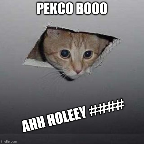 Ceiling Cat | PEKCO BOOO; AHH HOLEEY #### | image tagged in memes,ceiling cat | made w/ Imgflip meme maker