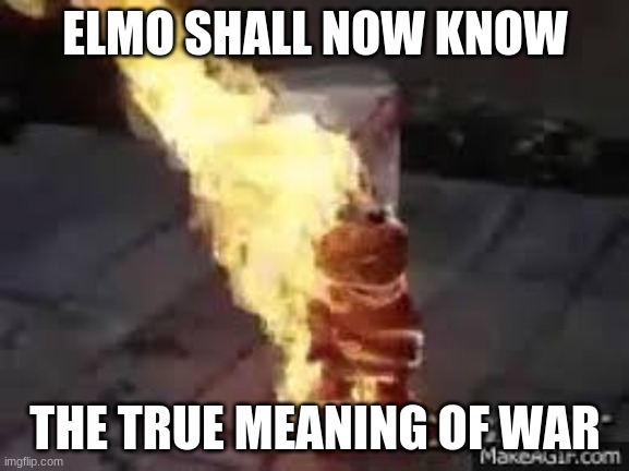 elmo will suffer | ELMO SHALL NOW KNOW; THE TRUE MEANING OF WAR | image tagged in elmo | made w/ Imgflip meme maker