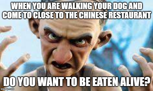 Nebbercracker | WHEN YOU ARE WALKING YOUR DOG AND COME TO CLOSE TO THE CHINESE RESTAURANT; DO YOU WANT TO BE EATEN ALIVE? | image tagged in nebbercracker,chinese food,chinese,dogs | made w/ Imgflip meme maker
