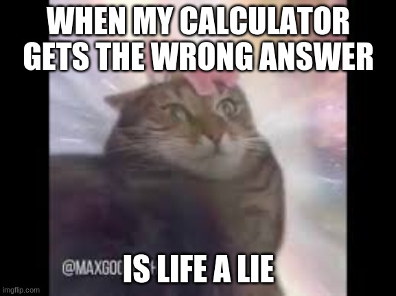 cat jumping to lightspeed | WHEN MY CALCULATOR GETS THE WRONG ANSWER; IS LIFE A LIE | image tagged in what is life | made w/ Imgflip meme maker
