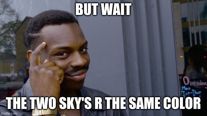 Roll Safe Think About It Meme | BUT WAIT THE TWO SKY'S R THE SAME COLOR | image tagged in memes,roll safe think about it | made w/ Imgflip meme maker