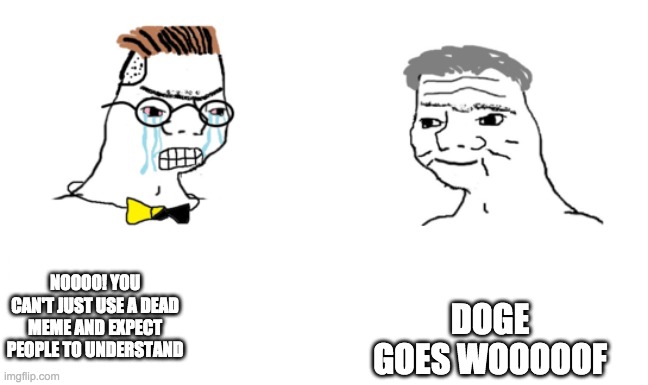 noooo you can't just | NOOOO! YOU CAN'T JUST USE A DEAD MEME AND EXPECT PEOPLE TO UNDERSTAND; DOGE GOES WOOOOOF | image tagged in noooo you can't just | made w/ Imgflip meme maker