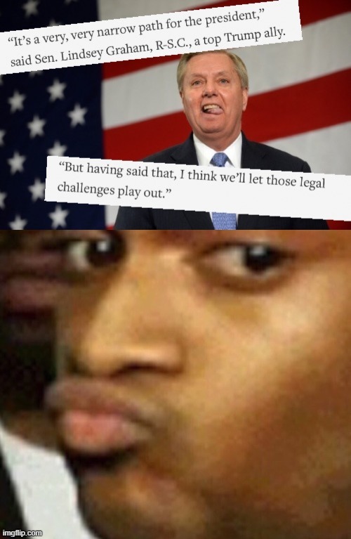 tl;dr X doubt | image tagged in lindsey graham narrow path,doubtful lips,election 2020,2020 elections,election,lindsey graham | made w/ Imgflip meme maker