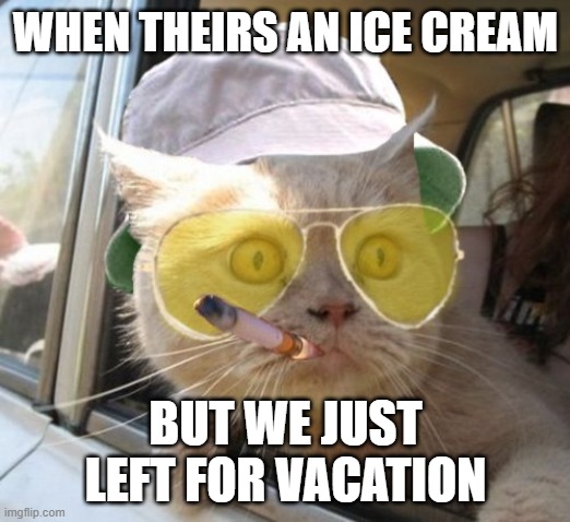 ICE CREAM | WHEN THEIRS AN ICE CREAM; BUT WE JUST LEFT FOR VACATION | image tagged in memes,fear and loathing cat | made w/ Imgflip meme maker
