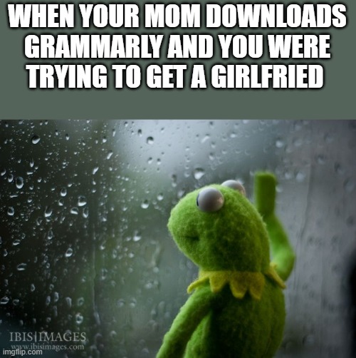 kermit window | WHEN YOUR MOM DOWNLOADS GRAMMARLY AND YOU WERE TRYING TO GET A GIRLFRIED | image tagged in kermit window | made w/ Imgflip meme maker