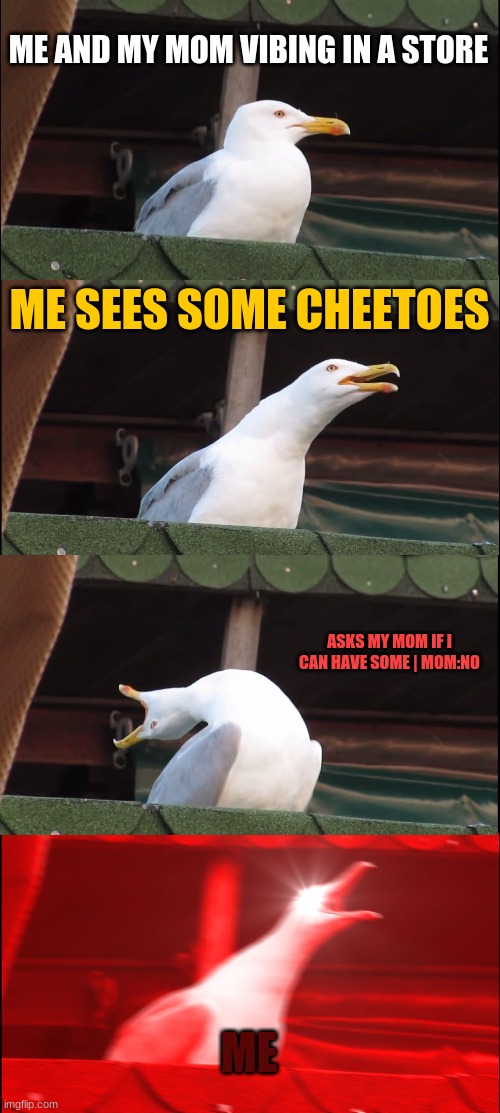 me at the store with my mom | ME AND MY MOM VIBING IN A STORE; ME SEES SOME CHEETOES; ASKS MY MOM IF I CAN HAVE SOME | MOM:NO; ME | image tagged in memes,inhaling seagull | made w/ Imgflip meme maker