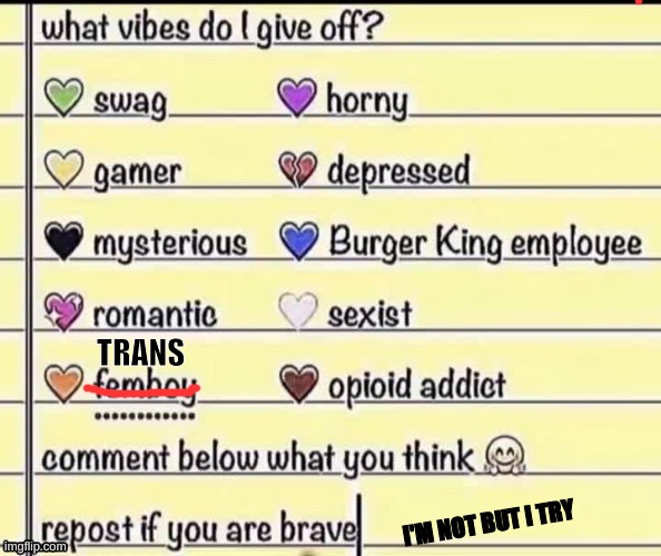 Vibe Check! | TRANS; I'M NOT BUT I TRY | image tagged in what vibe do i give off | made w/ Imgflip meme maker