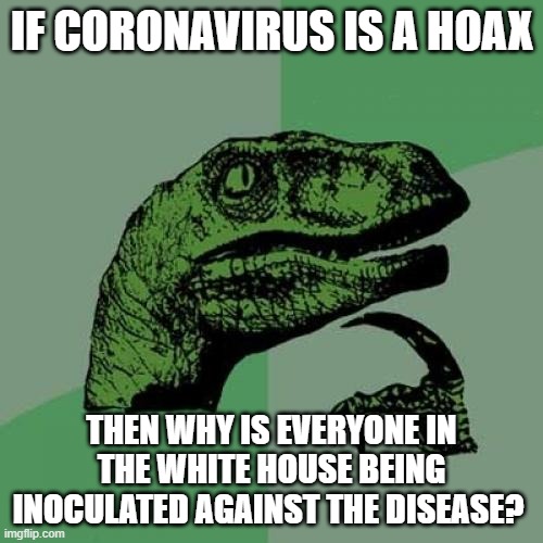 Philosoraptor | IF CORONAVIRUS IS A HOAX; THEN WHY IS EVERYONE IN THE WHITE HOUSE BEING INOCULATED AGAINST THE DISEASE? | image tagged in memes,philosoraptor | made w/ Imgflip meme maker