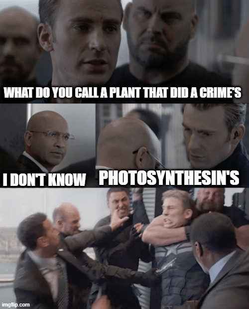 cap jokes | WHAT DO YOU CALL A PLANT THAT DID A CRIME'S; I DON'T KNOW; PHOTOSYNTHESIN'S | image tagged in captain america elevator | made w/ Imgflip meme maker