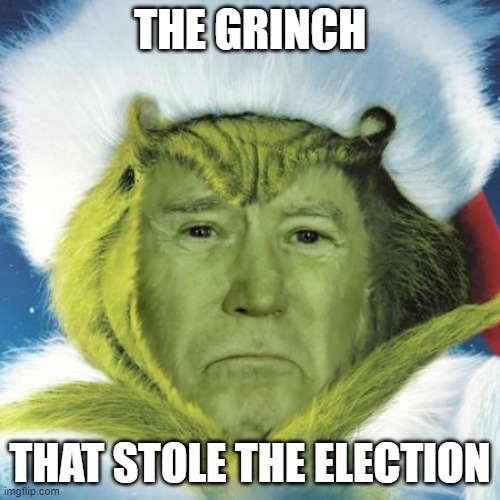 Biden Grinch | THE GRINCH; THAT STOLE THE ELECTION | image tagged in biden grinch | made w/ Imgflip meme maker