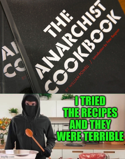 Not what I was expecting and left a bad taste in my mouth. | I TRIED THE RECIPES AND THEY WERE TERRIBLE | image tagged in anarchist,cooking,political meme | made w/ Imgflip meme maker