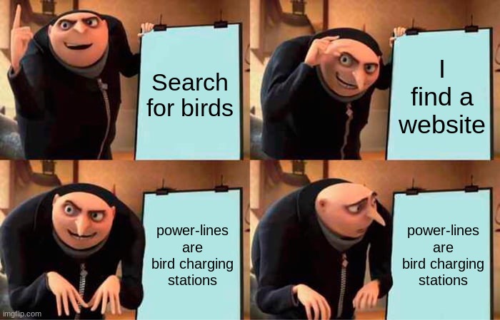 Gru's Plan | Search for birds; I find a website; power-lines are bird charging stations; power-lines are bird charging stations | image tagged in memes,gru's plan | made w/ Imgflip meme maker