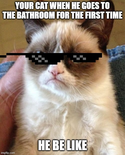 Grumpy Cat | YOUR CAT WHEN HE GOES TO THE BATHROOM FOR THE FIRST TIME; HE BE LIKE | image tagged in memes,grumpy cat | made w/ Imgflip meme maker