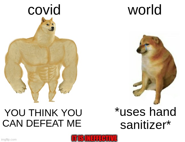 Buff Doge vs. Cheems Meme | covid; world; YOU THINK YOU CAN DEFEAT ME; *uses hand sanitizer*; IT IS INEFFECTIVE | image tagged in memes,buff doge vs cheems | made w/ Imgflip meme maker