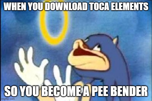 Sonic derp | WHEN YOU DOWNLOAD TOCA ELEMENTS; SO YOU BECOME A PEE BENDER | image tagged in sonic derp | made w/ Imgflip meme maker