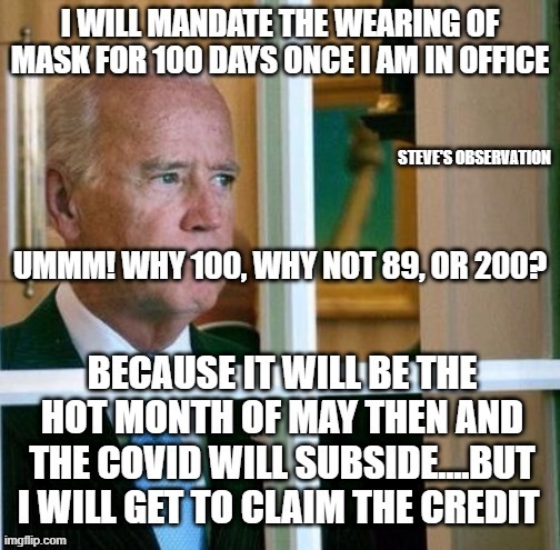 politics | STEVE'S OBSERVATION | image tagged in political meme | made w/ Imgflip meme maker