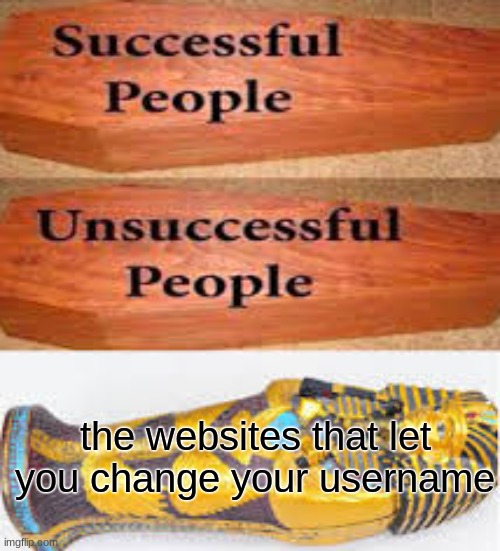 yes | the websites that let you change your username | image tagged in unsuccessful people successful people | made w/ Imgflip meme maker