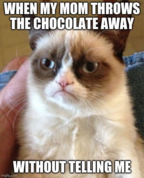 WHY MOM? | WHEN MY MOM THROWS THE CHOCOLATE AWAY; WITHOUT TELLING ME | image tagged in memes,grumpy cat | made w/ Imgflip meme maker