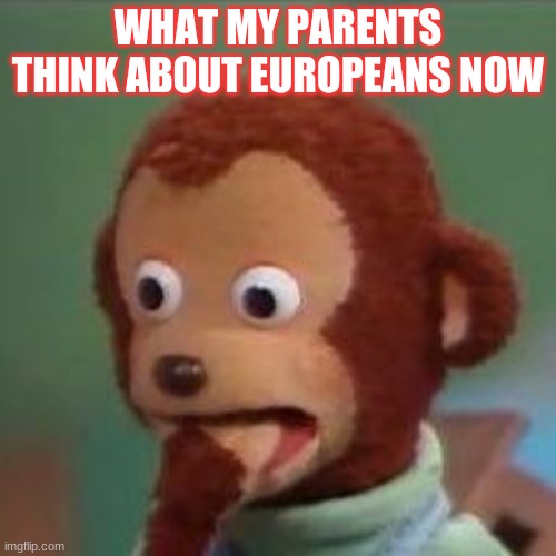 shoked monkey | WHAT MY PARENTS THINK ABOUT EUROPEANS NOW | image tagged in shoked monkey | made w/ Imgflip meme maker