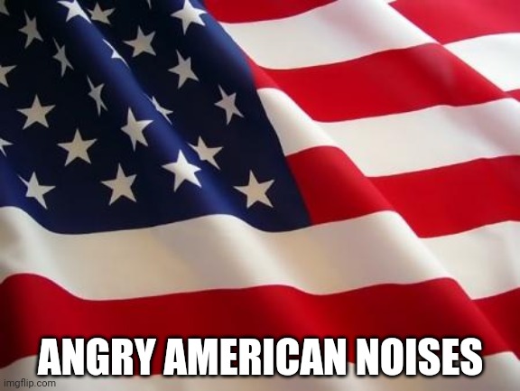American flag | ANGRY AMERICAN NOISES | image tagged in american flag | made w/ Imgflip meme maker