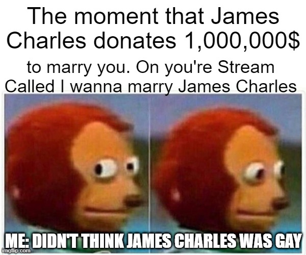 Monkey Puppet | The moment that James Charles donates 1,000,000$; to marry you. On you're Stream Called I wanna marry James Charles; ME: DIDN'T THINK JAMES CHARLES WAS GAY | image tagged in memes,monkey puppet | made w/ Imgflip meme maker