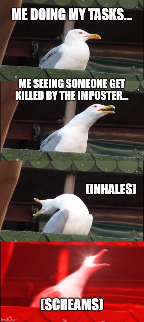 Inhaling Seagull | ME DOING MY TASKS... ME SEEING SOMEONE GET KILLED BY THE IMPOSTER... (INHALES); (SCREAMS) | image tagged in memes,inhaling seagull | made w/ Imgflip meme maker