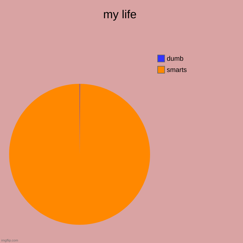 my life | smarts, dumb | image tagged in charts,pie charts | made w/ Imgflip chart maker