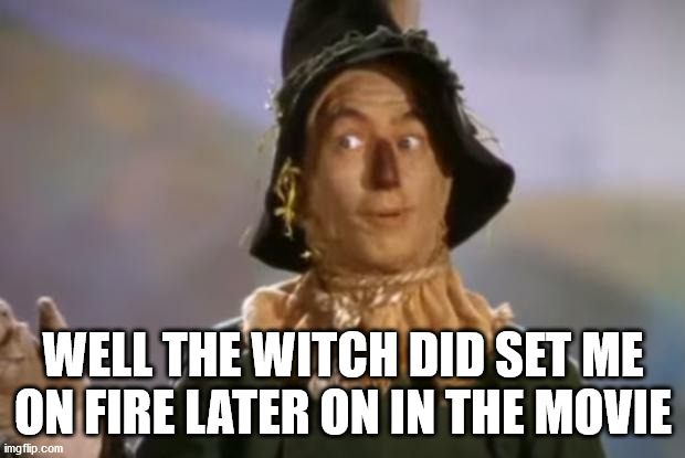 Scarecrow | WELL THE WITCH DID SET ME ON FIRE LATER ON IN THE MOVIE | image tagged in scarecrow | made w/ Imgflip meme maker