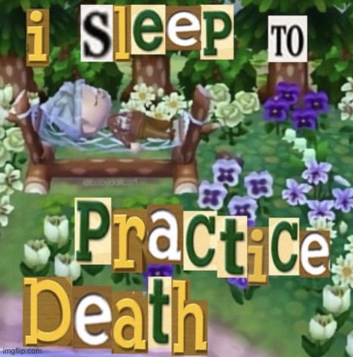 I sleep to practise death | image tagged in i sleep to practise death | made w/ Imgflip meme maker