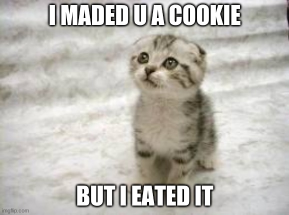 Sad Cat Meme | I MADED U A COOKIE; BUT I EATED IT | image tagged in memes,sad cat | made w/ Imgflip meme maker