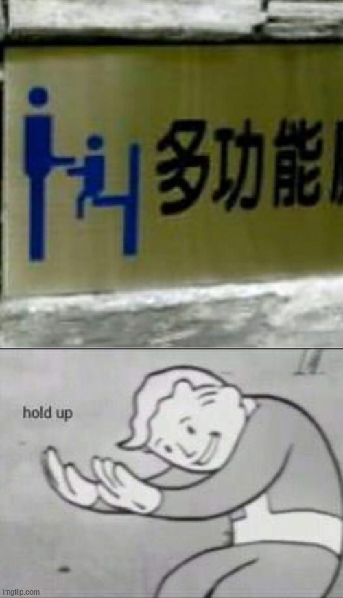 what is this | image tagged in fallout hold up | made w/ Imgflip meme maker