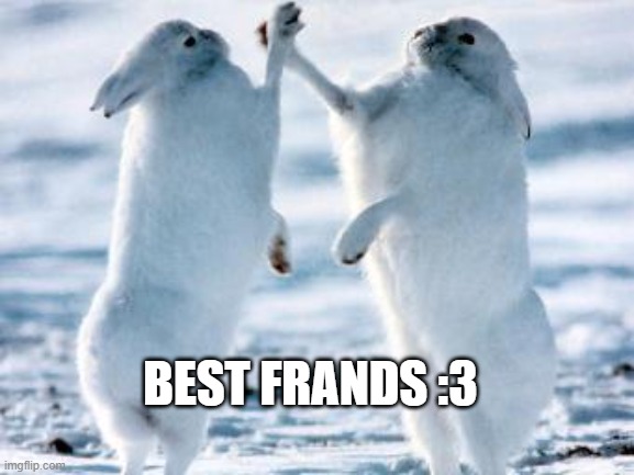 Best friends | BEST FRANDS :3 | image tagged in best friends | made w/ Imgflip meme maker