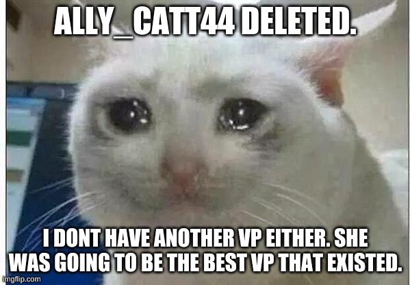 noooo | ALLY_CATT44 DELETED. I DONT HAVE ANOTHER VP EITHER. SHE WAS GOING TO BE THE BEST VP THAT EXISTED. | image tagged in crying cat,mental_injury8900 for president | made w/ Imgflip meme maker