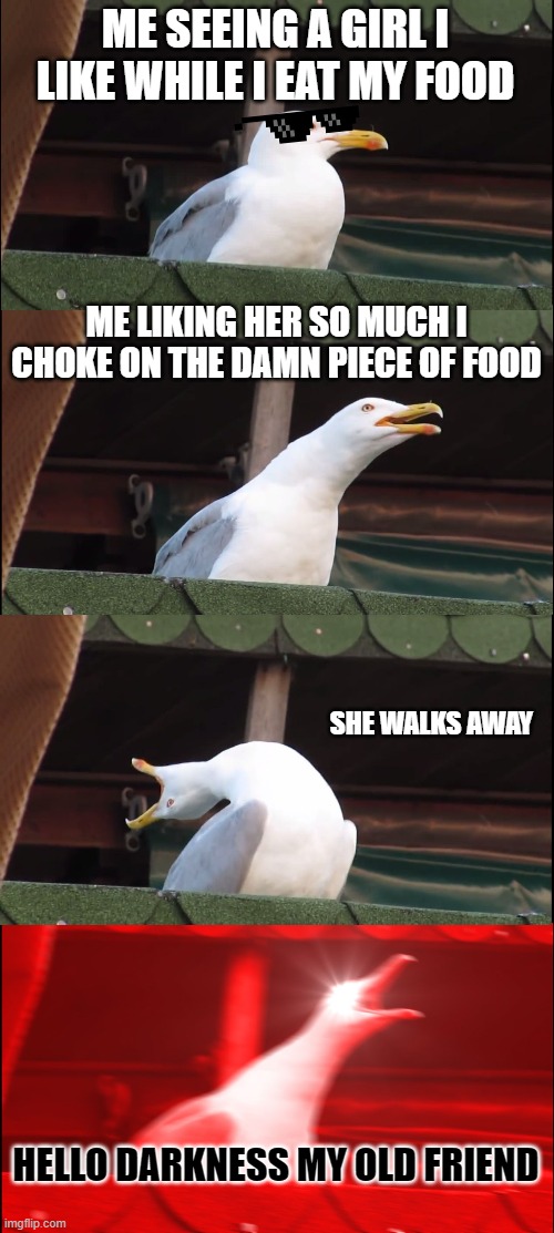 damn it | ME SEEING A GIRL I LIKE WHILE I EAT MY FOOD; ME LIKING HER SO MUCH I CHOKE ON THE DAMN PIECE OF FOOD; SHE WALKS AWAY; HELLO DARKNESS MY OLD FRIEND | image tagged in memes,inhaling seagull | made w/ Imgflip meme maker