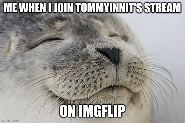 Hi there Tommy! | ME WHEN I JOIN TOMMYINNIT'S STREAM; ON IMGFLIP | image tagged in memes,satisfied seal | made w/ Imgflip meme maker