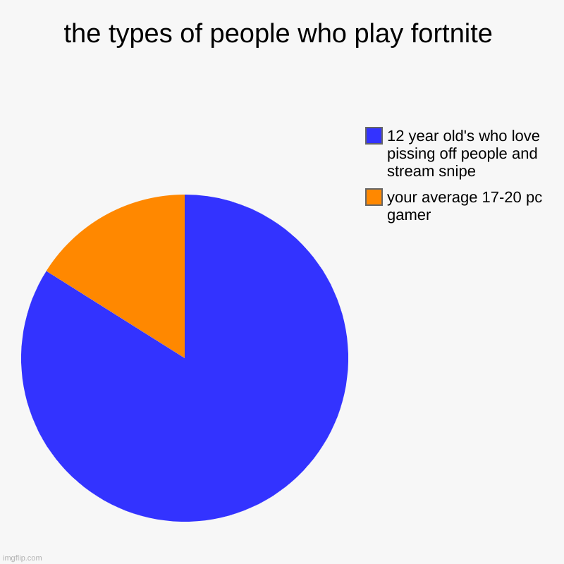 the types of people who play fortnite | your average 17-20 pc gamer, 12 year old's who love pissing off people and stream snipe | image tagged in charts,pie charts | made w/ Imgflip chart maker