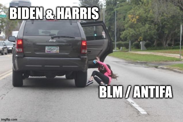 BLM | BIDEN & HARRIS; BLM / ANTIFA | image tagged in kicked out of car | made w/ Imgflip meme maker